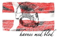 Vikings Denmark - vor &aelig;re skal h&aelig;vnes med...
