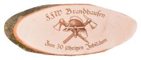 Jubil&auml;ums Schild FFW Freiwillige Feuerwehr Wunschname